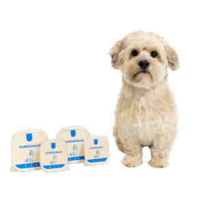 vådhundefoder