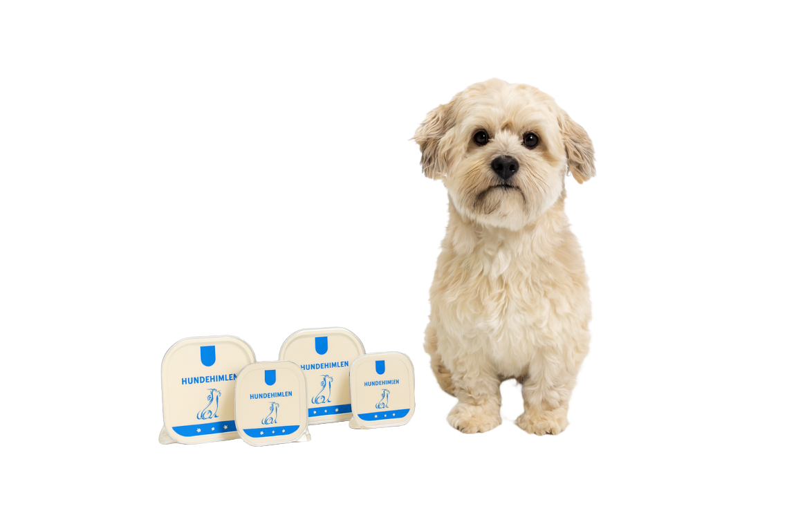 Home vådhundefoder